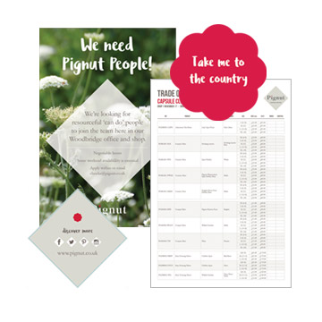 Pignut Graphics and Brand Development