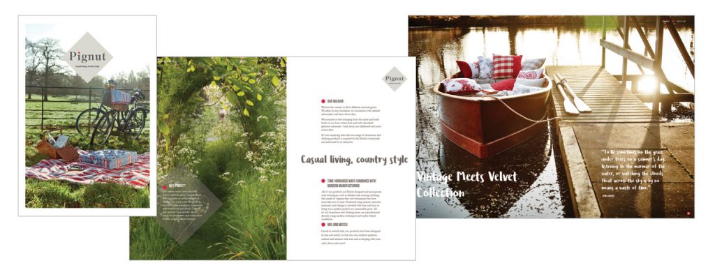 Pignu Corporate Brochure Design
