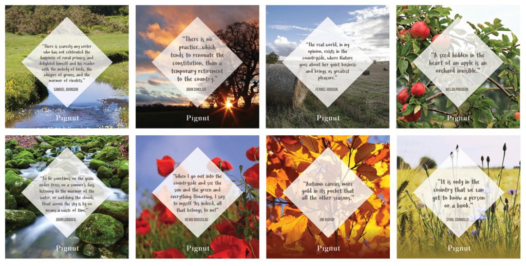 Inspirational lifestyle and nature quotes