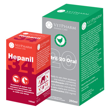 Start Up Company Design – VetPharm Pharmaceuticals