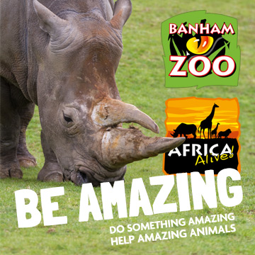 Zoological Society of East Anglia ‘Be Amazing’ Campaign