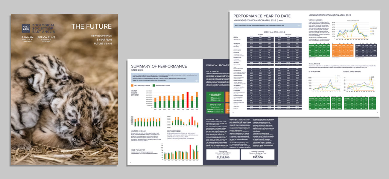 annual report project