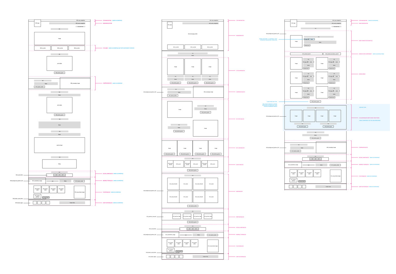 website project management team wireframes